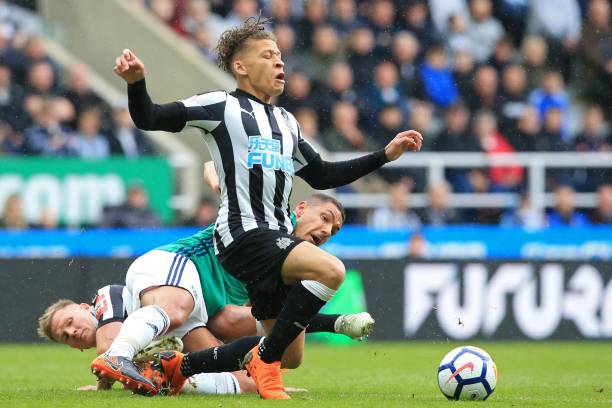 见以及对球 见以及对球