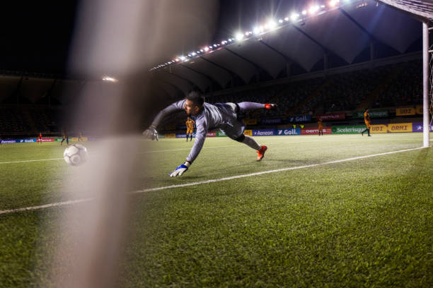 我们可以发 我们可以发